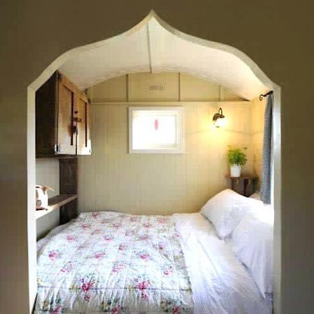 Beech Shepherds Hut York Exteriér fotografie