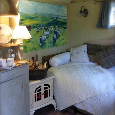 Beech Shepherds Hut York Exteriér fotografie
